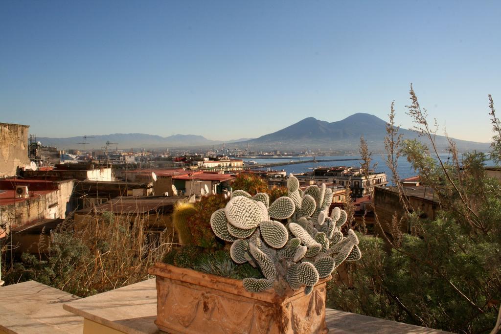 Alma De Templarsf - Stunning Design Home With Sea View And Terrace 나폴리 객실 사진